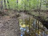 0 Cartledge Creek Road - Photo 18
