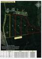 0 Cartledge Creek Road - Photo 2