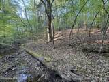 0 Cartledge Creek Road - Photo 21
