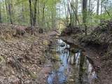 0 Cartledge Creek Road - Photo 23