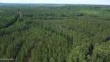 0 Cartledge Creek Road - Photo 6