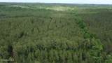 0 Cartledge Creek Road - Photo 8