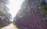 0 3rd Avenue - Photo 4