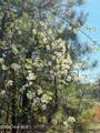Lot 14 Brickyard Road - Photo 7