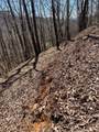 Lot 17 Panorama Dr Wolf Mountain Estates - Photo 15