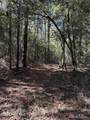 Off Earl Price Road - Photo 25