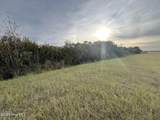Lot 201 Lot 201 Sandpiper Drive - Photo 5
