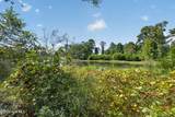 427 Tracy Brown Road - Photo 10