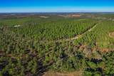10596 Sand Valley Road - Photo 12