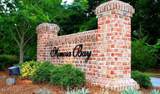 186 Snow Goose Lane - Photo 19