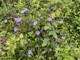 185 Joyces - Photo 45