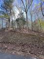 Lot 2 Lonesome Pine - Photo 2