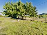 4506 Tobacco Road - Photo 39