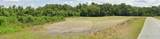 4221 Bud Parker Rd Road - Photo 3