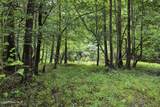 857 Mill River Road - Photo 18