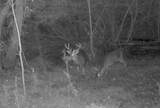 857 Mill River Road - Photo 7