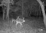 857 Mill River Road - Photo 8