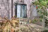 6338 Oleander Drive - Photo 23