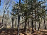 Lot 62 Wisteria Drive - Photo 4