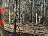 Lot 62 Wisteria Drive - Photo 8