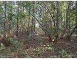 3611 New Bern Highway - Photo 15