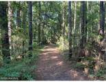3611 New Bern Highway - Photo 17
