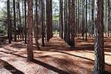 Tbd Nc Hwy 130 Road - Photo 5