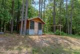 229 Gold Finch Circle - Photo 36