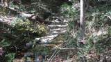 0 Kelly Street - Photo 6