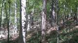 0 Kelly Street - Photo 7