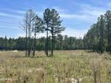 461 Lally Circle - Photo 3