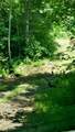 3530 Grape Creek Road - Photo 33