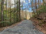 Lot 7 Ivy Log Road - Photo 13