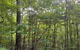 Lot 13 The Preserve - Photo 1