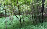 Lot 13 The Preserve - Photo 15