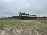 101 Big Biddy Lane - Photo 13