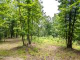 1 Stormy Ridge - Photo 4