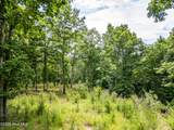 1 Stormy Ridge - Photo 7