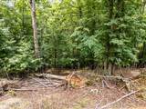 1 Stormy Ridge - Photo 9