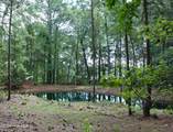6780 Hanbury Place - Photo 1