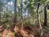 Lot 2 & 3 Strawhorn Creek Road - Photo 15