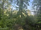 Lot 2 & 3 Strawhorn Creek Road - Photo 16