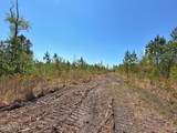 0 Guinea Mill Road - Photo 16
