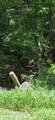 5a Chestnut Ridge Road - Photo 10
