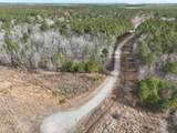 405 Batts Island Road - Photo 13