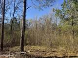 0 Little Prong Road - Photo 5