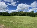 Lot 24&26 Mcglamery Farm Drive - Photo 6