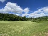 Lot 24&26 Mcglamery Farm Drive - Photo 8