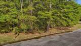 Lot 1 Biltmore Drive - Photo 10