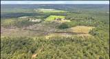 12 Ac Trinity Church Road - Photo 8